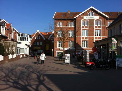 Moevennest Borkum